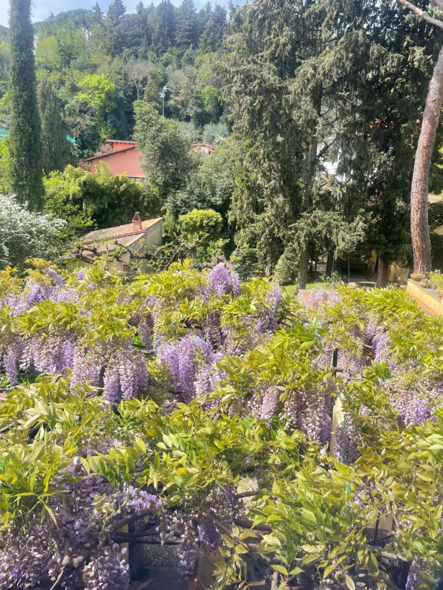 Albero Mago Hotel Florence Luaran gambar
